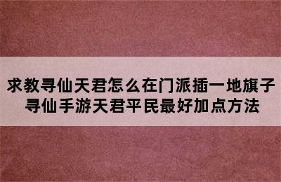 求教寻仙天君怎么在门派插一地旗子 寻仙手游天君平民最好加点方法